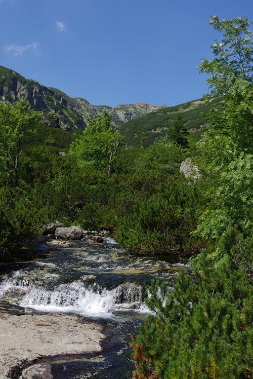 Studio Livia Vysoké Tatry Exterior photo