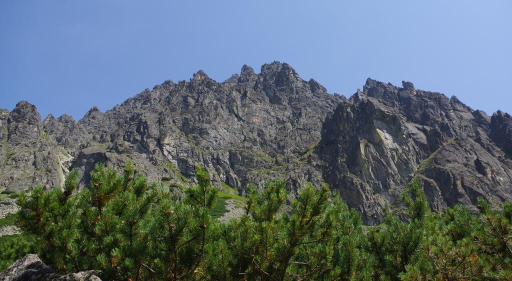 Studio Livia Vysoké Tatry Exterior photo