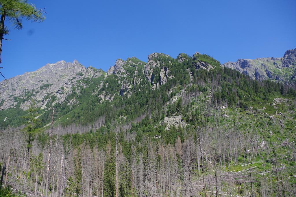 Studio Livia Vysoké Tatry Exterior photo